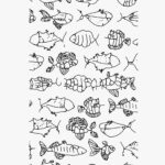UNSEEN NATURE – FISH POSTER