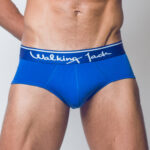 Walking Jack – Bluebird Solid Briefs – Blue Classic Underwear